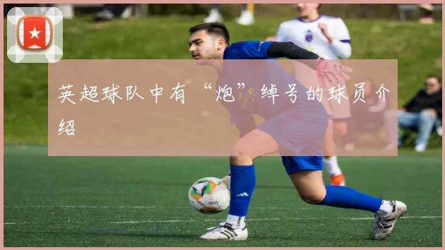 英超球队中有“炮”绰号的球员介绍